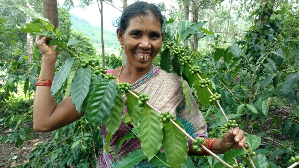 I recall how the tribals of Araku told me in 2000 A.D. that my idea of “education” which was to put their children in a walled classroom to be “taught” by a “teacher” won’t work as learning is borderless & continous! We used that to train all coffee farmers in open farms! (14/n)