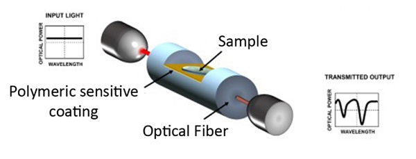 Polymers_MDPI's tweet photo. #polymers
Optical Fiber Sensors Based on Polymeric Sensitive Coatings
------
Surface engineering techniques based on polymeric structures for the design of advanced optical fiber sensors
Contributed by Dr. Pedro J. Rivero and et al. (Cited 20 times!!!)
https://t.co/2DzzJdFfO3 https://t.co/24I3nlZo3U