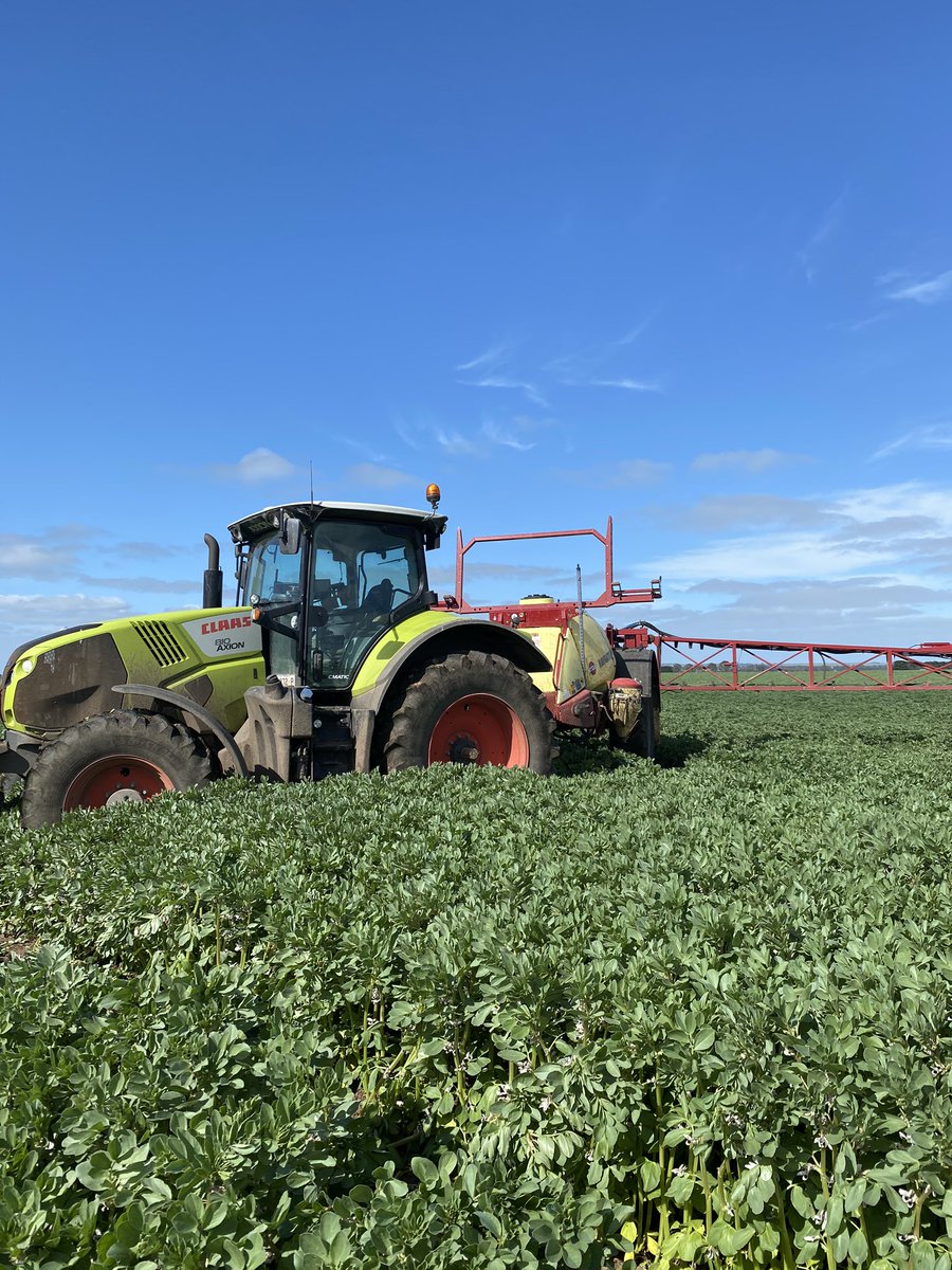 Alan79648744's tweet photo. Fungicide going out on the beans today. Good day for spraying https://t.co/dYQHfRn43h