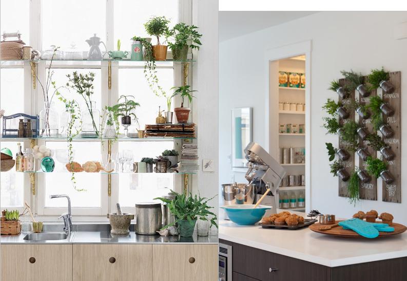 ZingyHomes's tweet image. #Zingify - Kitchen garden -personal mini garden within your own kitchen.

See more at: zingyhomes.com/latest-trends/…

#kitchen #kitchendesign #interiordesign gardening #garden #growyourownfood #home #kitchengarden #food #interior #design #homedecor #kitchendecor #decor #architecture