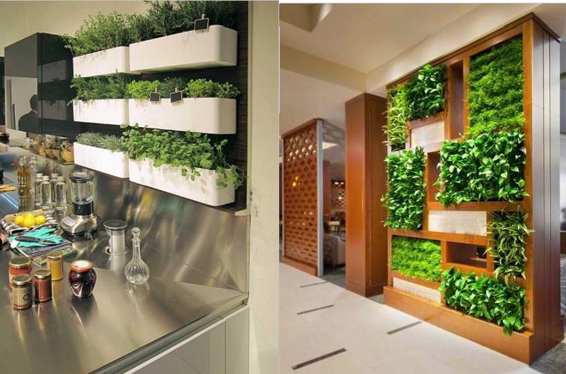 ZingyHomes's tweet image. #Zingify - Kitchen garden -personal mini garden within your own kitchen.

See more at: zingyhomes.com/latest-trends/…

#kitchen #kitchendesign #interiordesign gardening #garden #growyourownfood #home #kitchengarden #food #interior #design #homedecor #kitchendecor #decor #architecture
