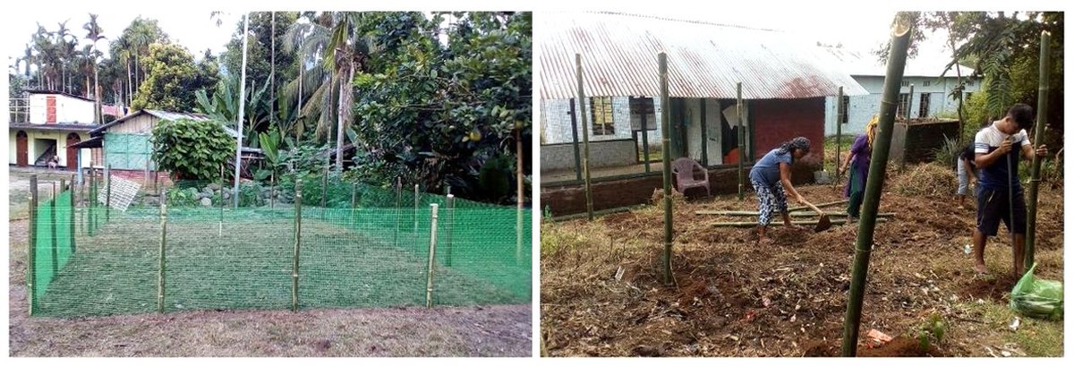 POSHAN_Official's tweet photo. Our stakeholders and organisations are working passionately for the development of Nutri-gardens across AWCs in #Nagaland during the ongoing #PoshanMaah2020

#POSHANAbhiyaan

#Local4Poshan https://t.co/8Nmb8uPg0b