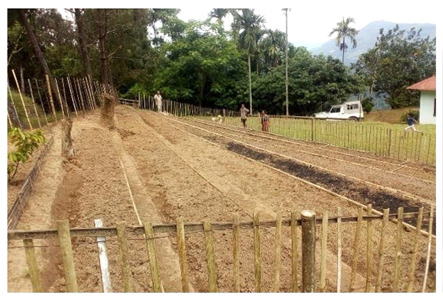 POSHAN_Official's tweet photo. Our stakeholders and organisations are working passionately for the development of Nutri-gardens across AWCs in #Nagaland during the ongoing #PoshanMaah2020

#POSHANAbhiyaan

#Local4Poshan https://t.co/8Nmb8uPg0b