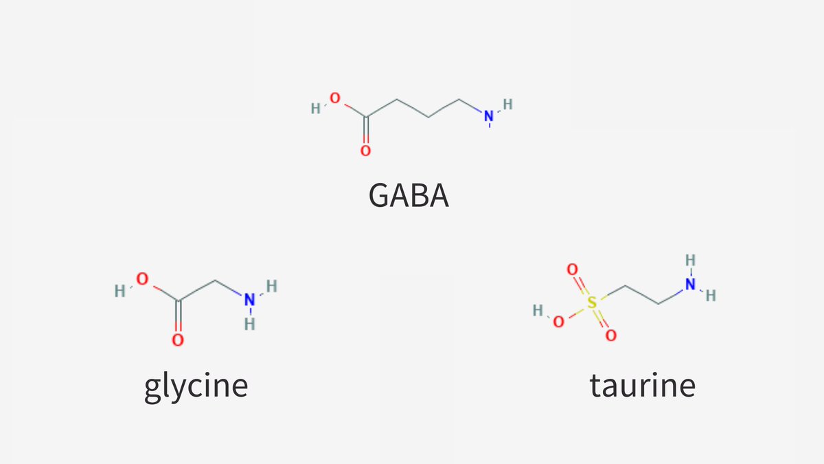 LaraBriden's tweet photo. The amino acid taurine is so structurally similar to GABA and glycine that it can interact with their receptors and calm the brain. https://t.co/d4mlDer2Vb
