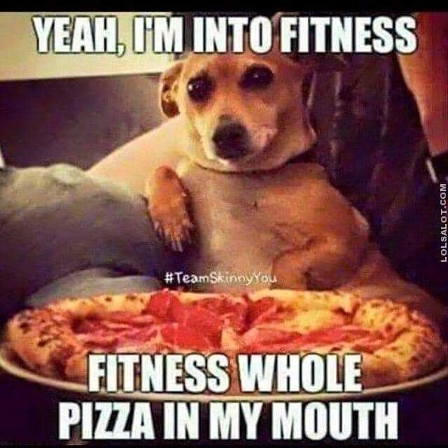bobbiesuzanne's tweet photo. Hope everyone had a wonderful Tuesday! Almost to the middle of the week! Hang in there! 

#fitness #fitnessmotivation #fitnesshumor #tuesday #humpday #dogs #funnydogs https://t.co/J7fDfeFcti