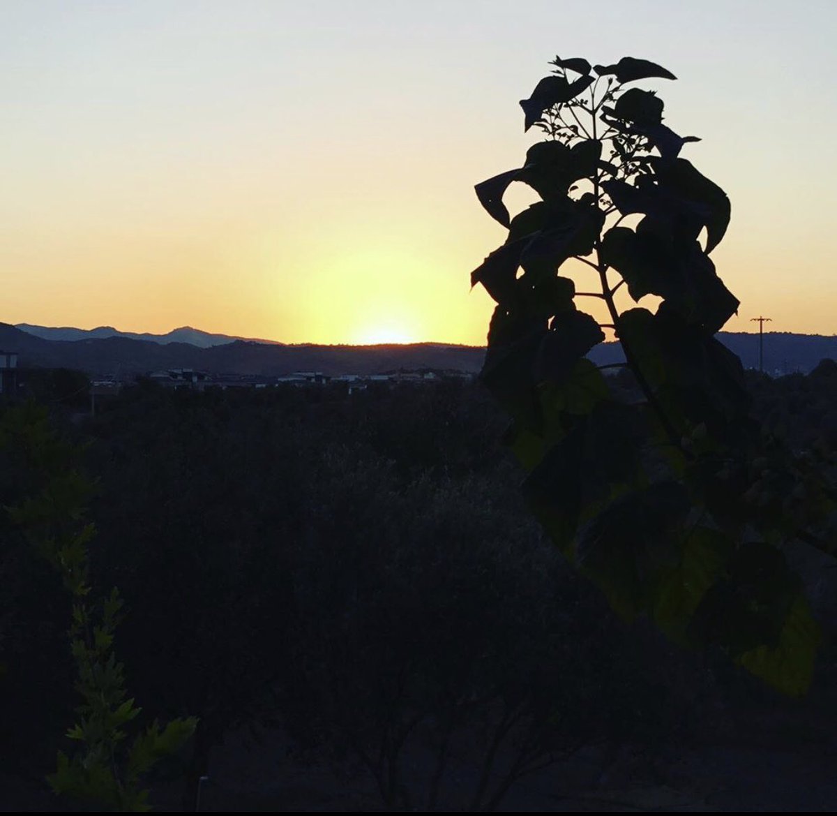 Günlerden #9Eylül...
Günlerden #İzmir...
Günlerden #kurtuluş...