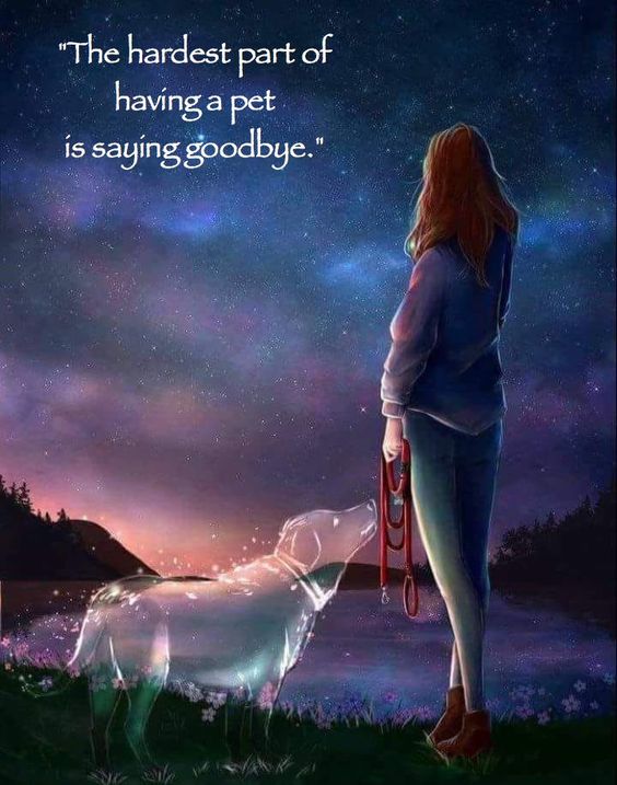 RUvegans's tweet photo. #veganNews #veganpower #veganlslove #ruvegans #plantbased #crueltyfree #veganfriendly #veganworld #newvegan #go #veganfacts #meatfree #veganlife #veganism #vegan #plantbased #govegan #veganlife #happy #veganismo #veganisme #like #love #veganlove #veganismi #animal #animals #dogs https://t.co/P1UDSQmLa8