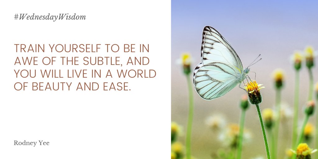 SCPMGWellness's tweet photo. #WednesdayWisdom #SCPMGSelfCare #Awe @rodney_yee https://t.co/4d9L1p1Sck