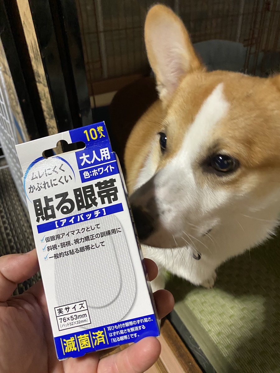 تويتر ダイナマイト ママ على تويتر Ma Mecco 主さま 休ませてね 一番の邪魔は畳かなゴザかな ホリホリ ホリホリ ᴗ ﾆﾔｯ ダイナにやられて実家は穴だらけ