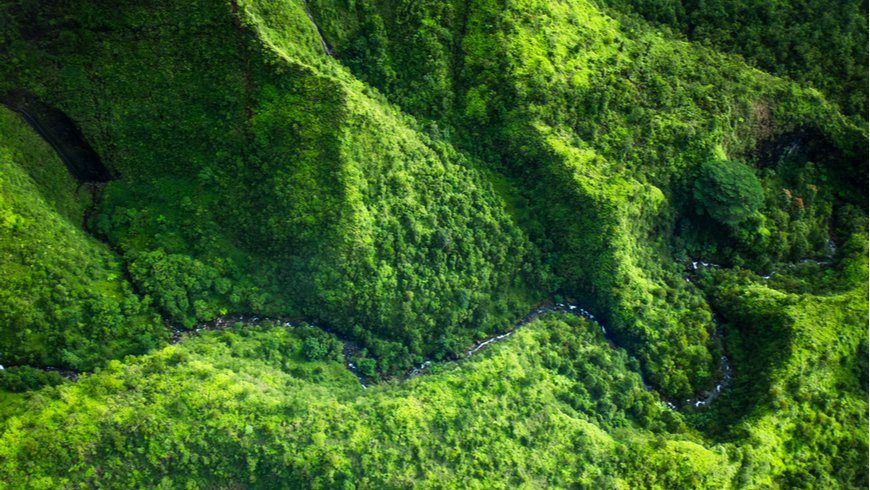 Using data and maps from satellites, #CostaRica and #Uganda are identifying natural areas critical for carbon sequestration, natural beauty, water, food, and cultural heritage. 

Learn more about how this data will guide action: wrld.bg/L4bF50BlvYP #NatureNow