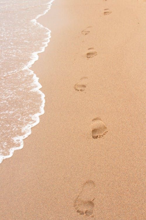 DTNEtiquette's tweet photo. Leave a footprint of kindness with each step you take...~ #DTN #plzdo #eachstep https://t.co/7eC4ZxcSOo