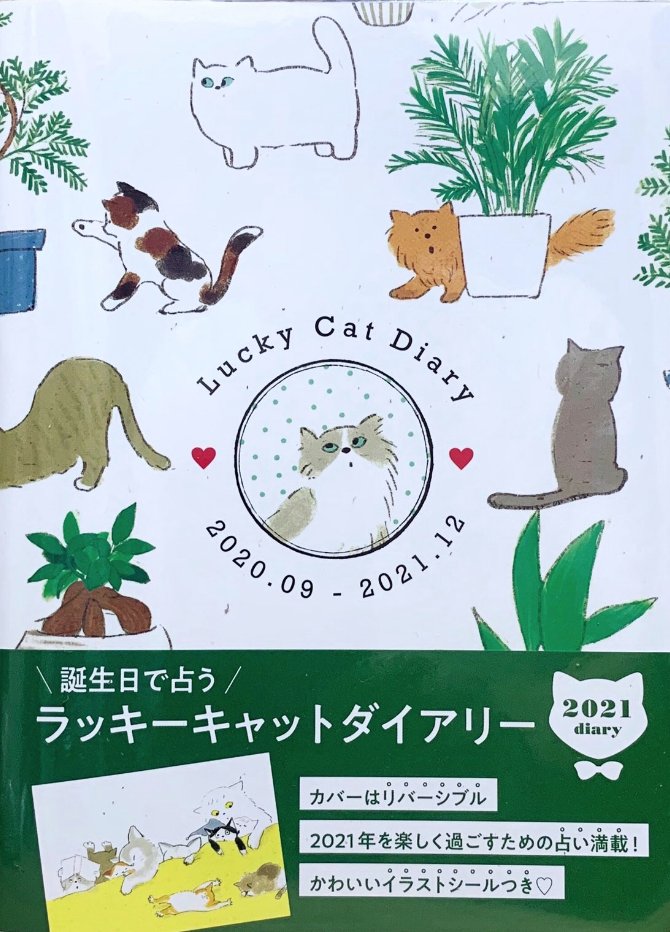 #世界占いの日 
♊️占いと猫の絵が詰まったラッキーキャットダイアリー2021は現在発売中です✨来年も占いページ担当します♈️ 