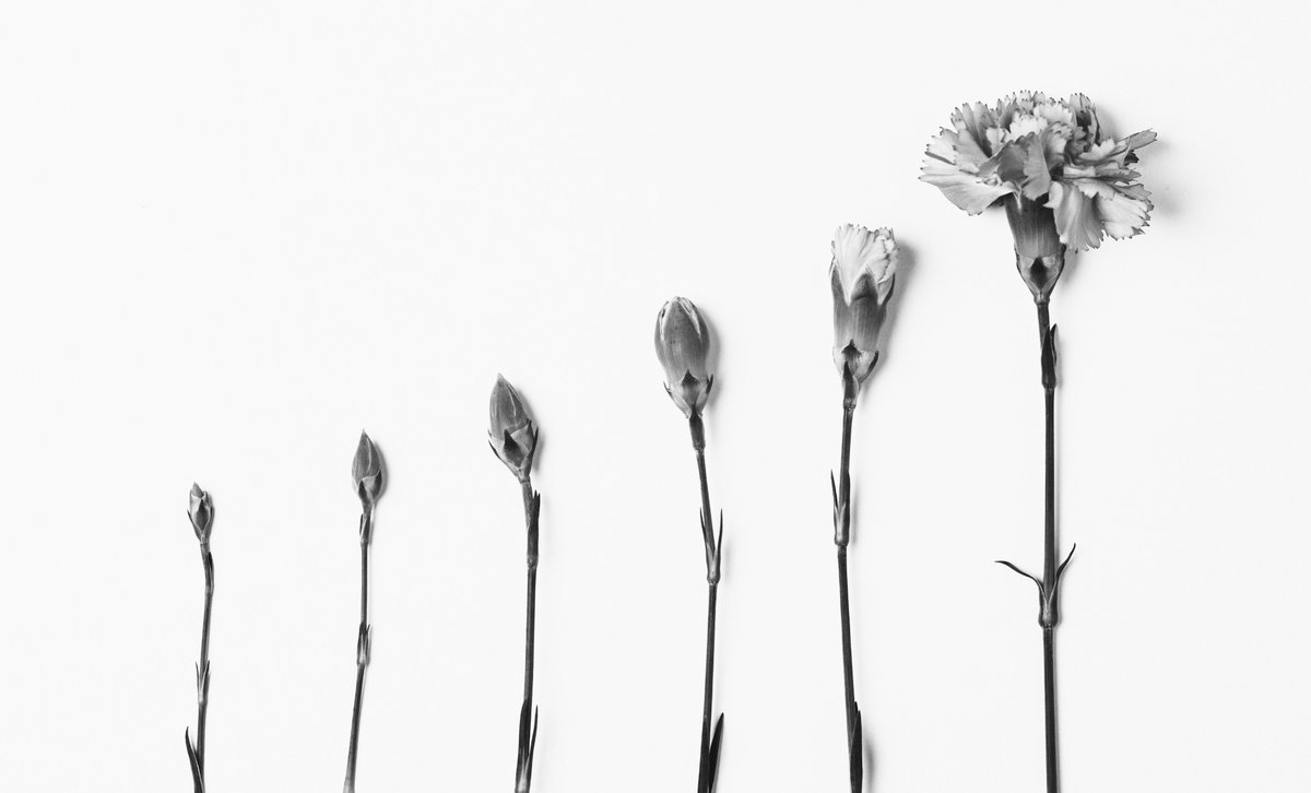 Huomenta #vaikuttavuus|ihmiset ja -intoilijat! Kaipaatko oivalluksia ja työkaluja organisaation vaikuttavuuskyvykkyyden vahvistamiseen? Tänään on loistopäivä ilmoittautua Vaikuttavuuden läpivalaisu -webinaariin (14.9. klo 14): vaikuttavayritys.fi/vaikuttavuuden……. Vinkkejä myös mittaamiseen