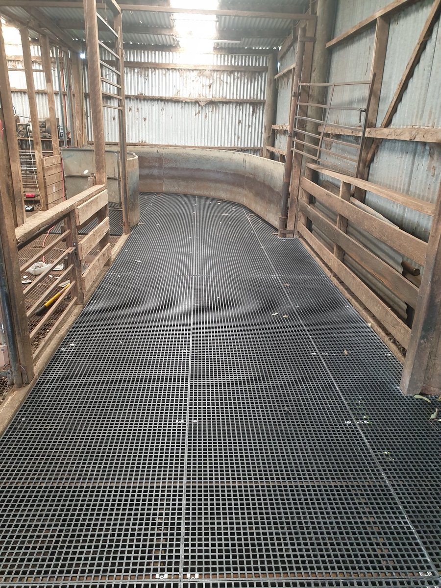 Chad_Baker31's tweet photo. Upgrades to the Mt Hesse workshed before we wean our lambs. Replaced the riverina mesh pens with timer rails and revamped the flooring using FRP grating. https://t.co/ynwScdwe8b