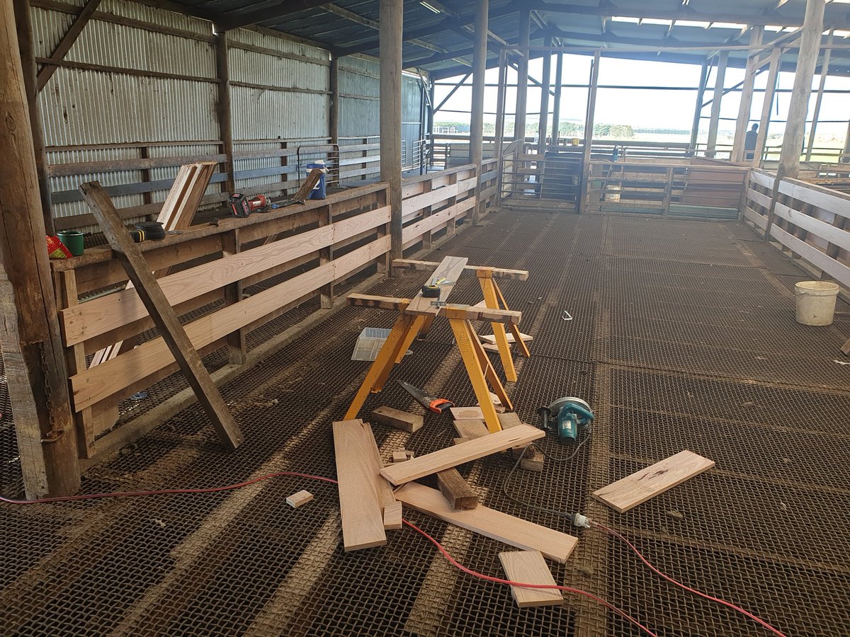 Chad_Baker31's tweet photo. Upgrades to the Mt Hesse workshed before we wean our lambs. Replaced the riverina mesh pens with timer rails and revamped the flooring using FRP grating. https://t.co/ynwScdwe8b