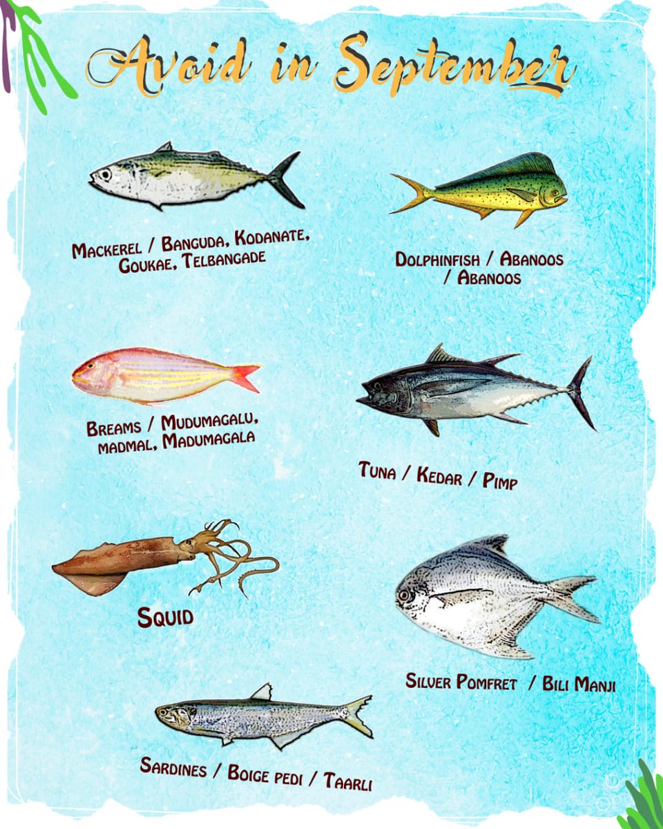 Know Your Fish on X: A list of seafood items that are