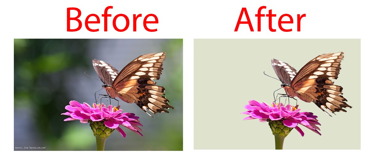 IHNahid3's tweet photo. I am Nahid. I am professional Graphic Designer. I have more then 5 years experience in Graphics Design.
https://t.co/4luvrp8SB8
#backgroundremoval
#backgroundremove
#BackgroundExtra https://t.co/wpeFAPqX8F