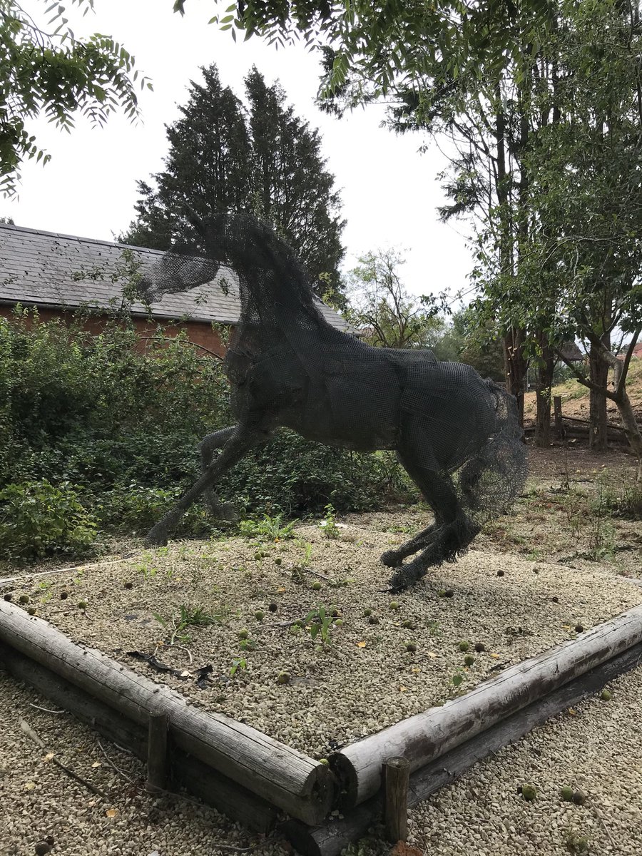 Paula Stuart tweet media