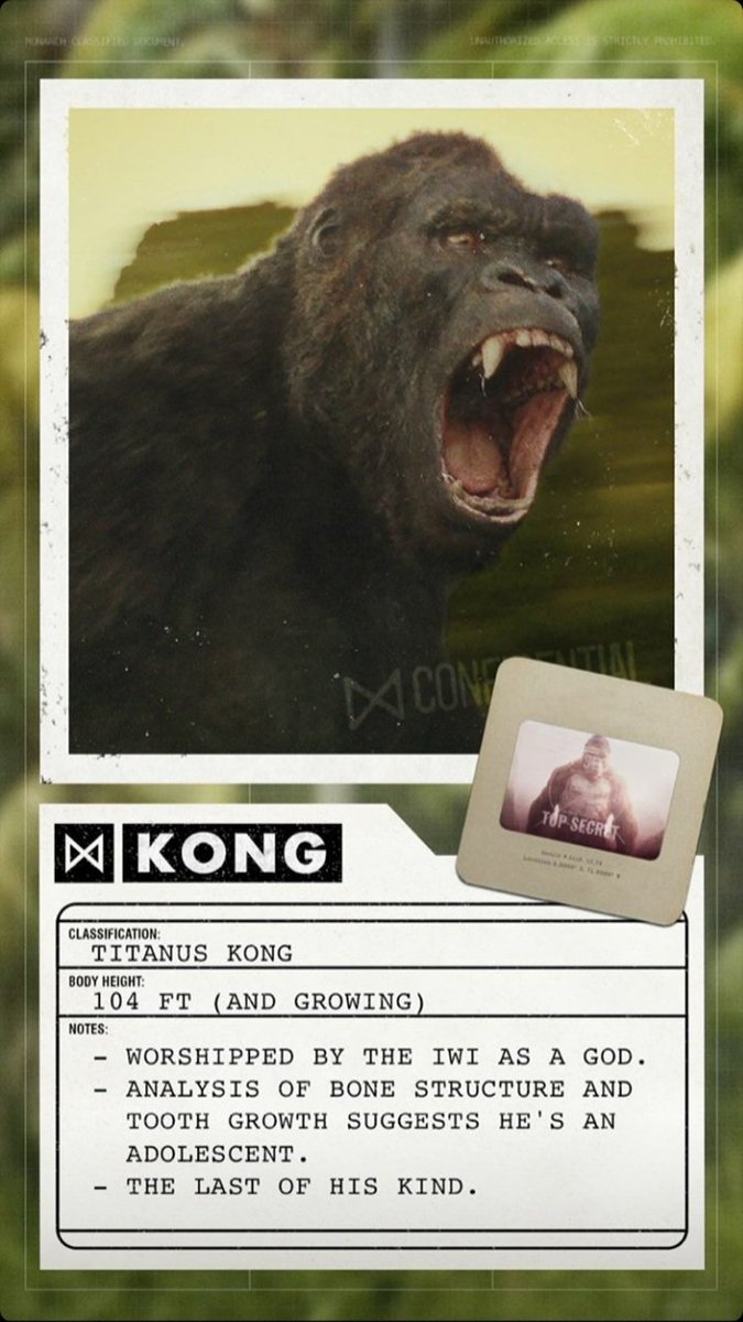 LMonsterverse's tweet photo. #KongSkullIsland #Kong #SkullDevil https://t.co/prTXVnikI4