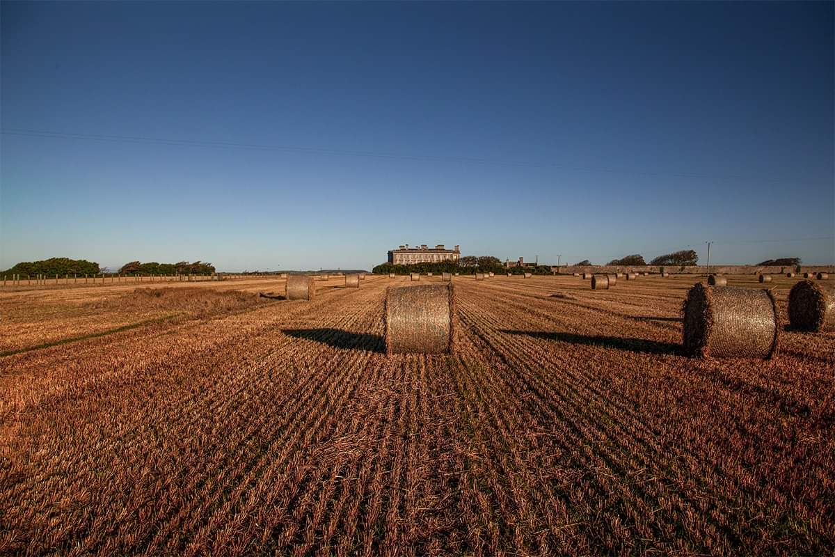 Golden sunshine this morning at the hall.... So she took her love for to gaze awhile 🎶