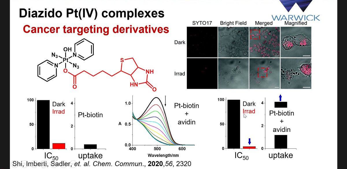 AEBIN5's tweet photo. @ImbertiCinzia, @huayun_shi and @embolitho presenting outstanding results from @SadlerGroup 
@warwickchem 

#PDT #PhotoDynamicTherapy

#photochem2020 of @AEBIN5 https://t.co/bGjqb9Zv8g