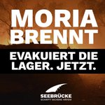 Bild/Foto