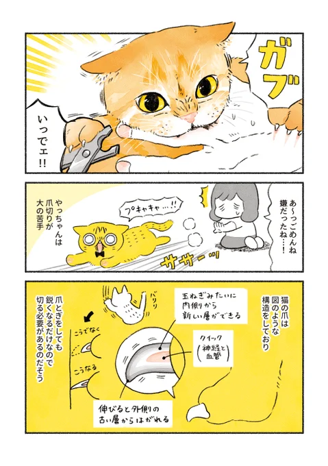 やっちゃんと爪切り 