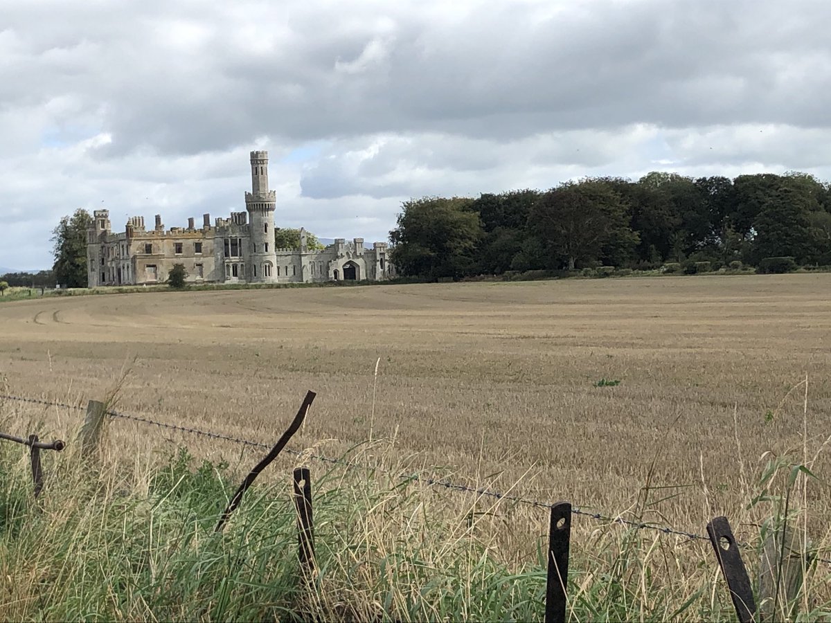 Paula Ward's Ireland tweet media