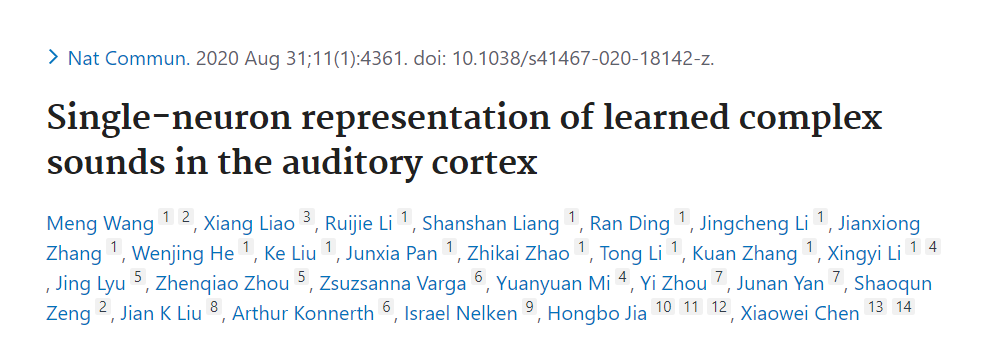 Neurotar_team's tweet image. Neuronal polyphony! "Ca2+ imaging and single-cell electrophysiology in #awake #behaving mice following auditory associative training ... neurons exhibit bursting responses specifically to a chord but neither to any constituent tone nor to the other chord." pubmed.ncbi.nlm.nih.gov/32868773/