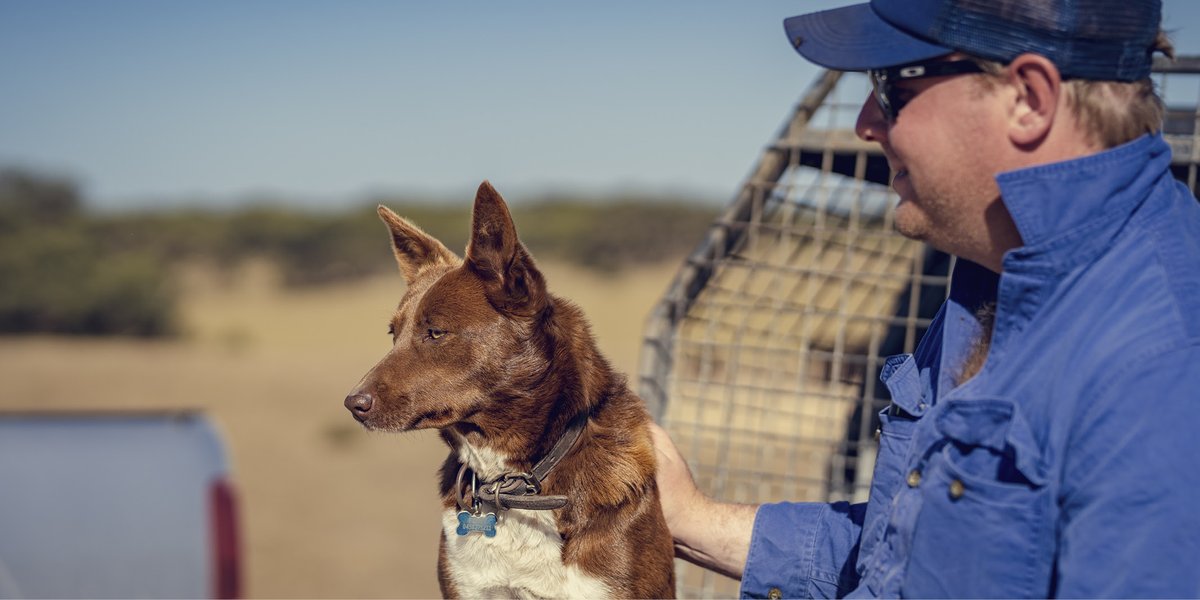 Thomas Foods International tweet media