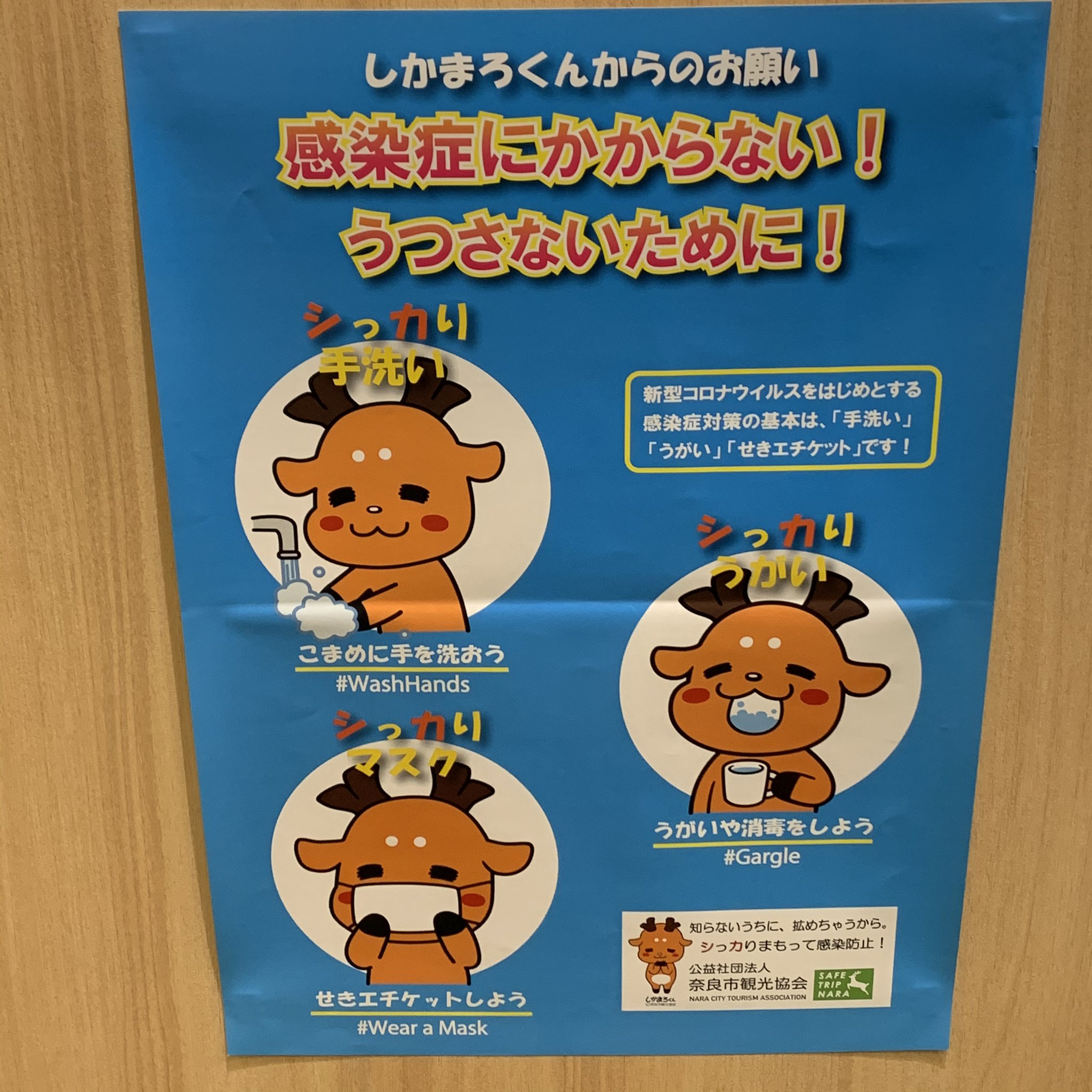 最も選択された しかまろくん 壁紙 無料の壁紙画像検索