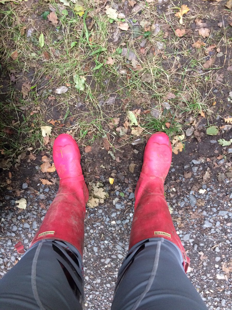 MudMartin's tweet image. Seeing as it’s wellie Wednesday thought I would put these up I’ve had them all on this week all for sale at the right price as well