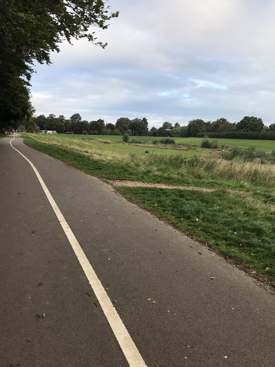 My new walk into work is a bit nicer than it was before 😍