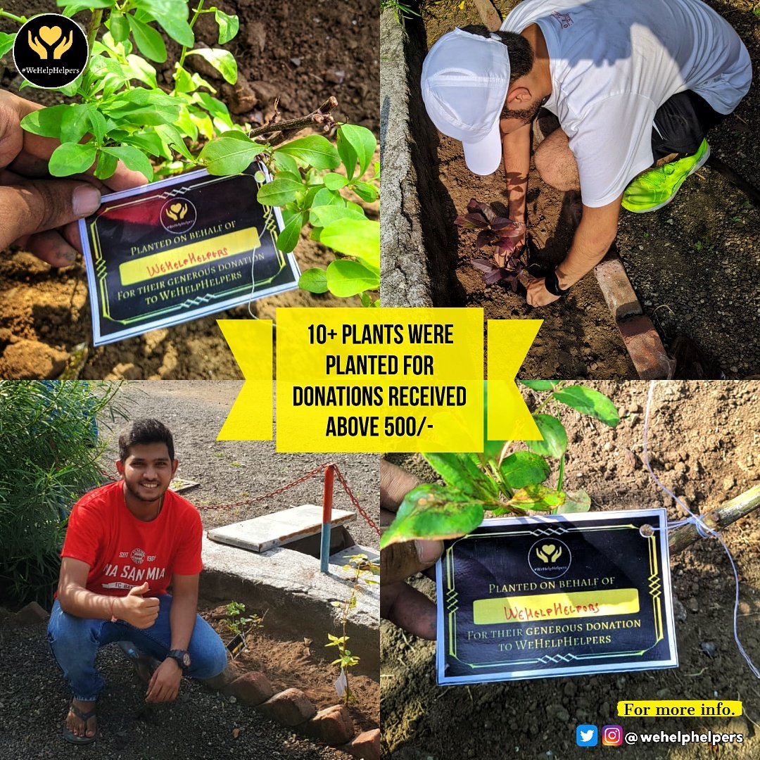 wehelphelpers's tweet image. We at #WeHelpHelpers work tirelessly to distribute essentials not only to the people in need but also our MotherEarth, as a way to give back to the planet.
To show our dedication to this cause, our team planted10more plants making a total of 22for every support of morethan ₹500.