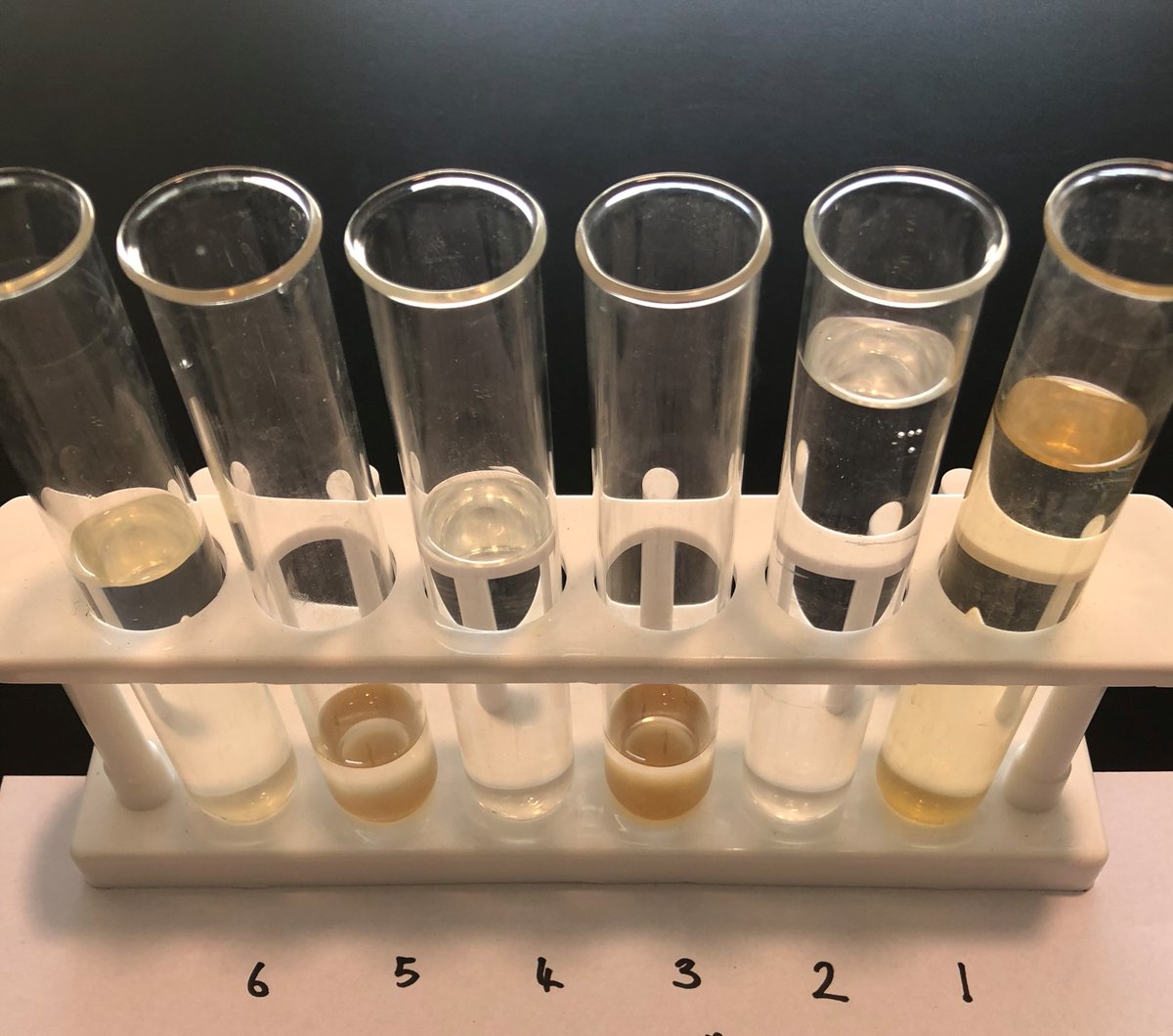 integraflow's tweet image. Tannin removal from rainwater.  Testing our solution first, a great cost effective result for our customer. Our new moto &quot;Just Science, no Gimmicks&quot; in play again. 
#watertesting #waterquality #watermonitoring #watertreatment #borewater #rainwater #watertreatmentsystem #tannins