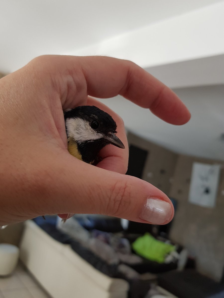 ~☆ bonjour a tous ☆~
belle journée ensoleillée 🌞
alors souriez ! ♡