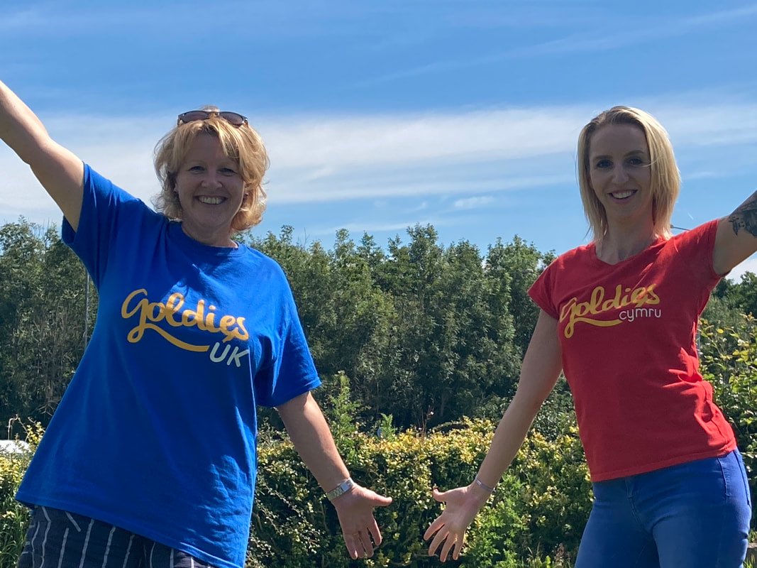 GoldiesCharity's tweet photo. @Agecymrupowys please help us to tell families about @GoldiesLive fun #sofasongs&smiles every Tuesday & Thursday w/session leaders Cheryl and Rachel- free from YouTube, all those hits from the 60s to enjoy - screen words to help joining in ! Thanks from our @goldiescymru charity https://t.co/f4IYOXUCwe