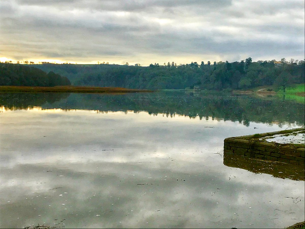 RachelHutty's tweet photo. Peace on the river Tamar. π±
#cornishborder #rivertamar #tamarvalley #lovewhereilive https://t.co/mYfRo6oOLB