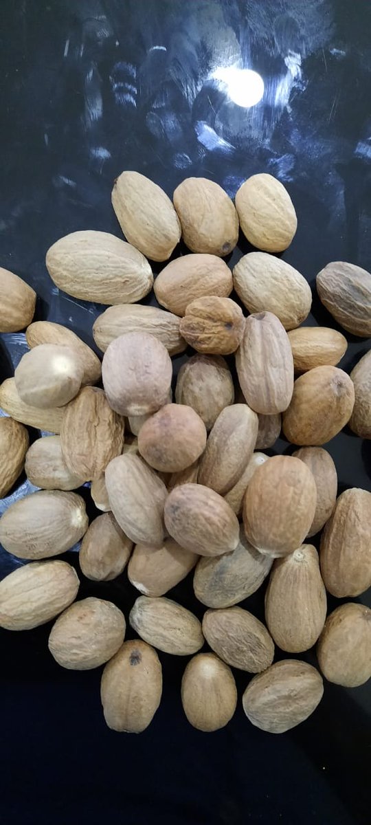 AgriPepper's tweet photo. Indonesian Origin Nutmeg ABCD Type
Count 100/110
Price $7650/MT, FOB Indonesia

September/October shipment
** Subject to reconfirm https://t.co/SgeyMN2QY0