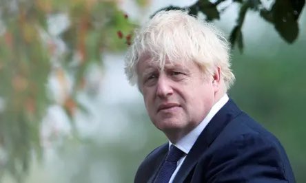 Boris Johnson: A sprouting, green, Maris Piper Potato. After going through the best production, in organic potato farms, he’s been left in the cupboard for too long and should have been thrown in the bin ages ago. Starting to make others mouldy and green.