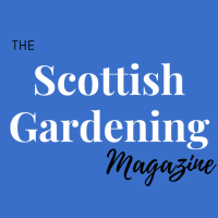 Trellis_Network's tweet photo. Subscribe for free and enjoy our regular column. https://t.co/rNg0NUybVv #scottishgardening #gardening #scotland #plants #horticulture #therapeuticgardening #gardeningforwellbeing #gardenforlife https://t.co/9b9jqP6PgI