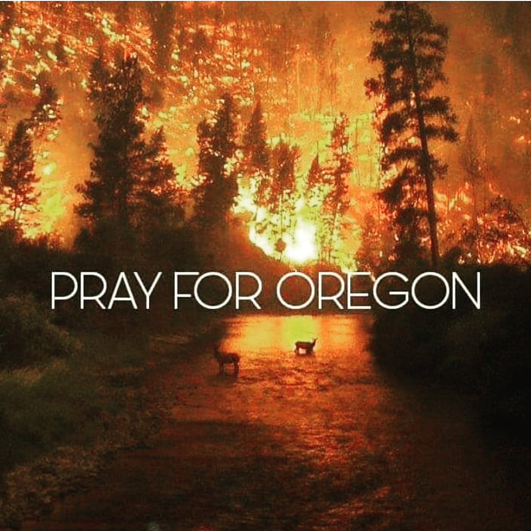 SaintMelrose's tweet photo. Probably the scariest thing I've seen in my 48 yrs as a born &amp; raised Oregonian. Prayers 4 everyone 2 be safe. Be prepared! Be strong! Fires have been close to us. Firefighters working hard. #prayforfirefighters #thankgodforfirefighters #prayforfirstresponders
#prayfororegon https://t.co/snieWJaaFd