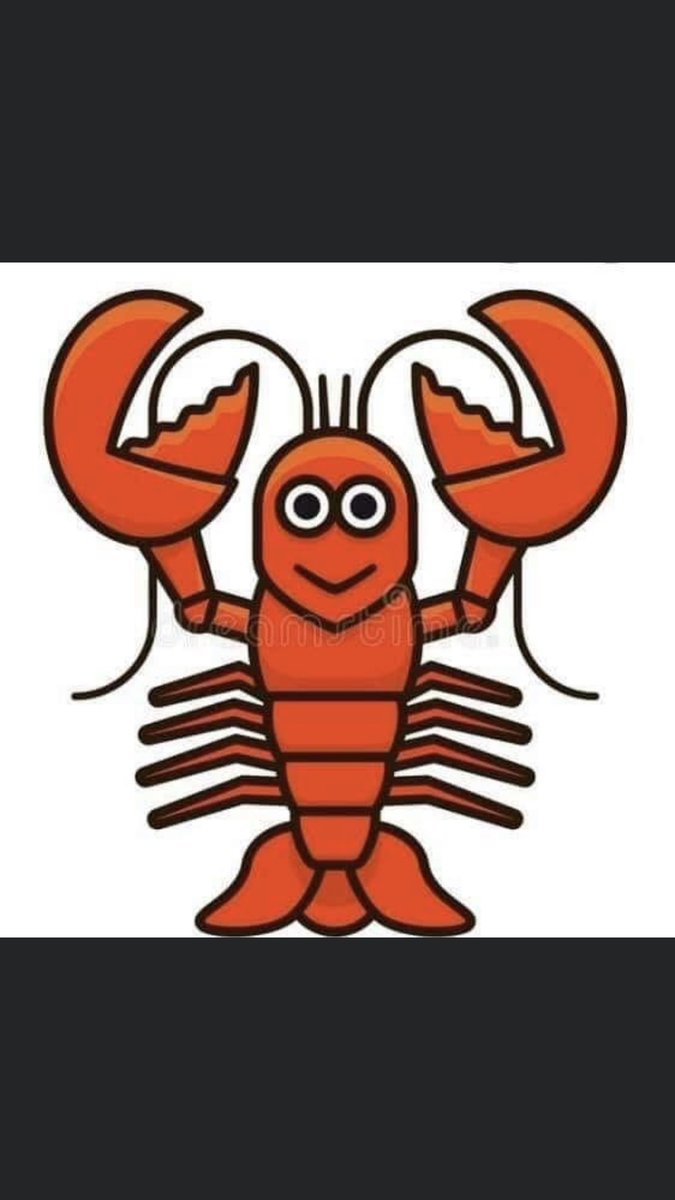 Jasgun9's tweet photo. @AusHCIndia no planes for stranded Australian but not for lobsters very frustrating plz remove the cap and allow us to travel to Australia https://t.co/8PGJ27PPbS