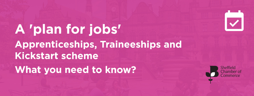 sheffchamber's tweet photo. A Plan for #Jobs - Join us at this event for an insight on what is happening locally and a solution based approached responding to the needs of #employers and supporting the renewal of the #economy.
29 Sept 👉 https://t.co/pGYBf8KNYR #Sheffiield #event #webinar https://t.co/LO86m4mQ5b
