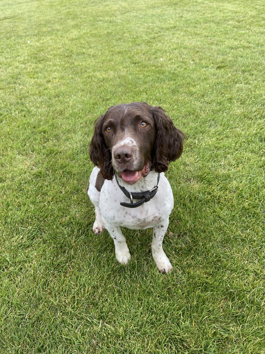 erinregorla tweet media