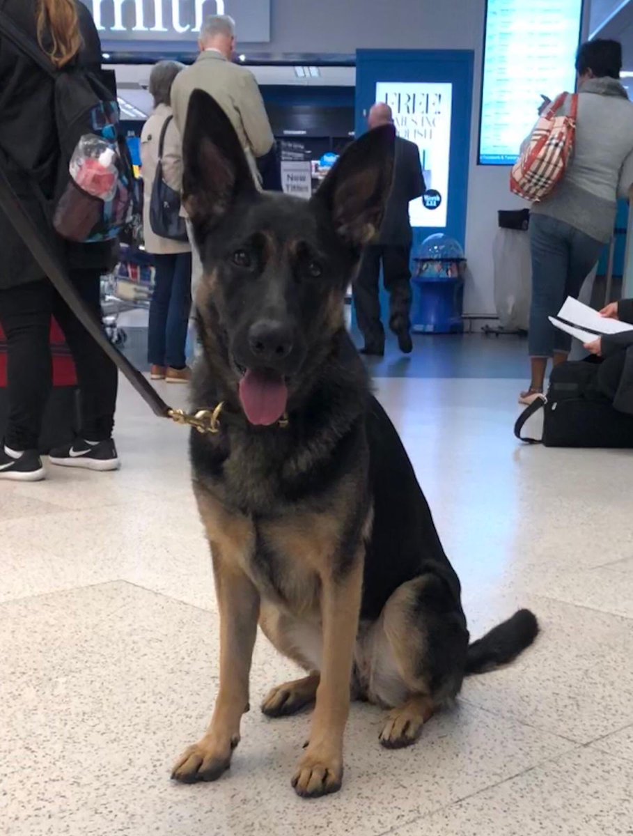 erinregorla tweet media