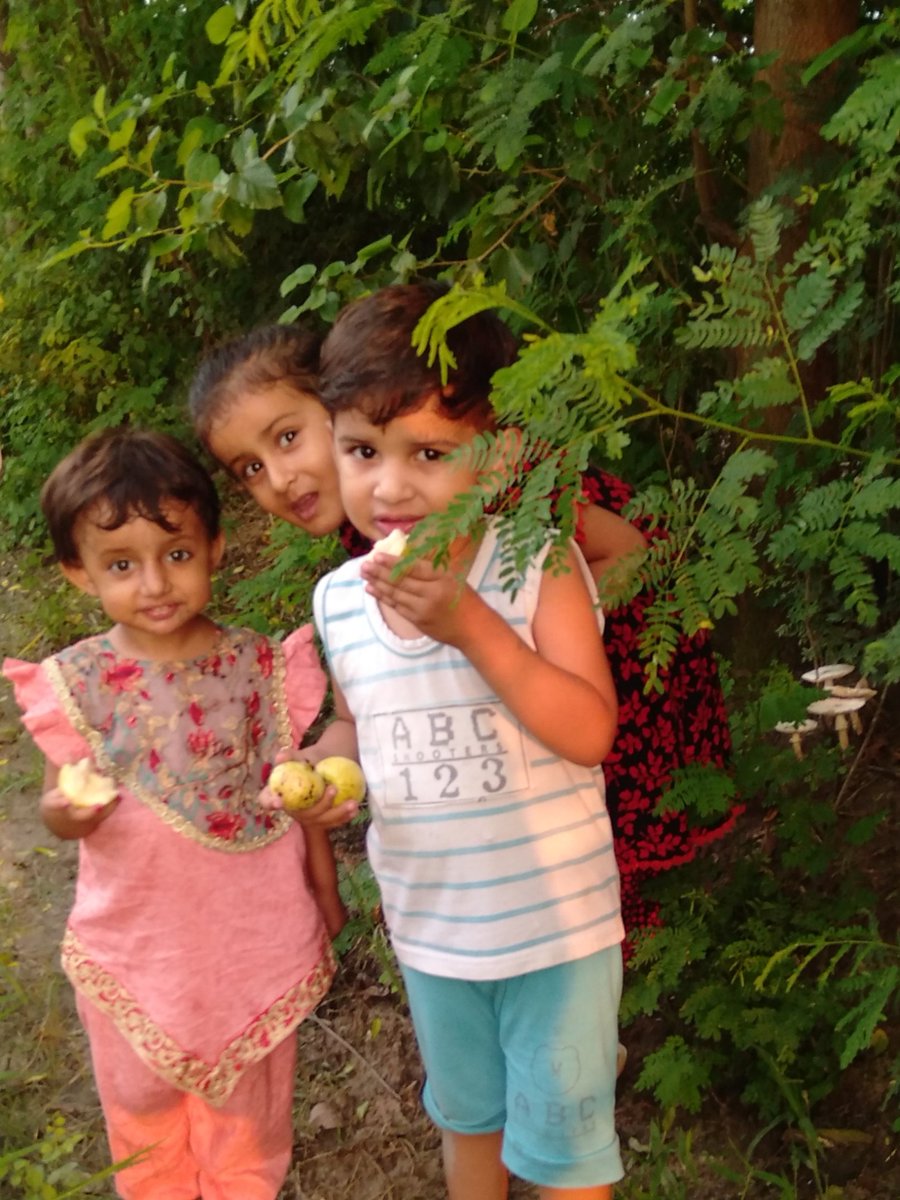 dspnvirkan's tweet photo. Enjoy in field after rian https://t.co/PhhQlFUOlk
