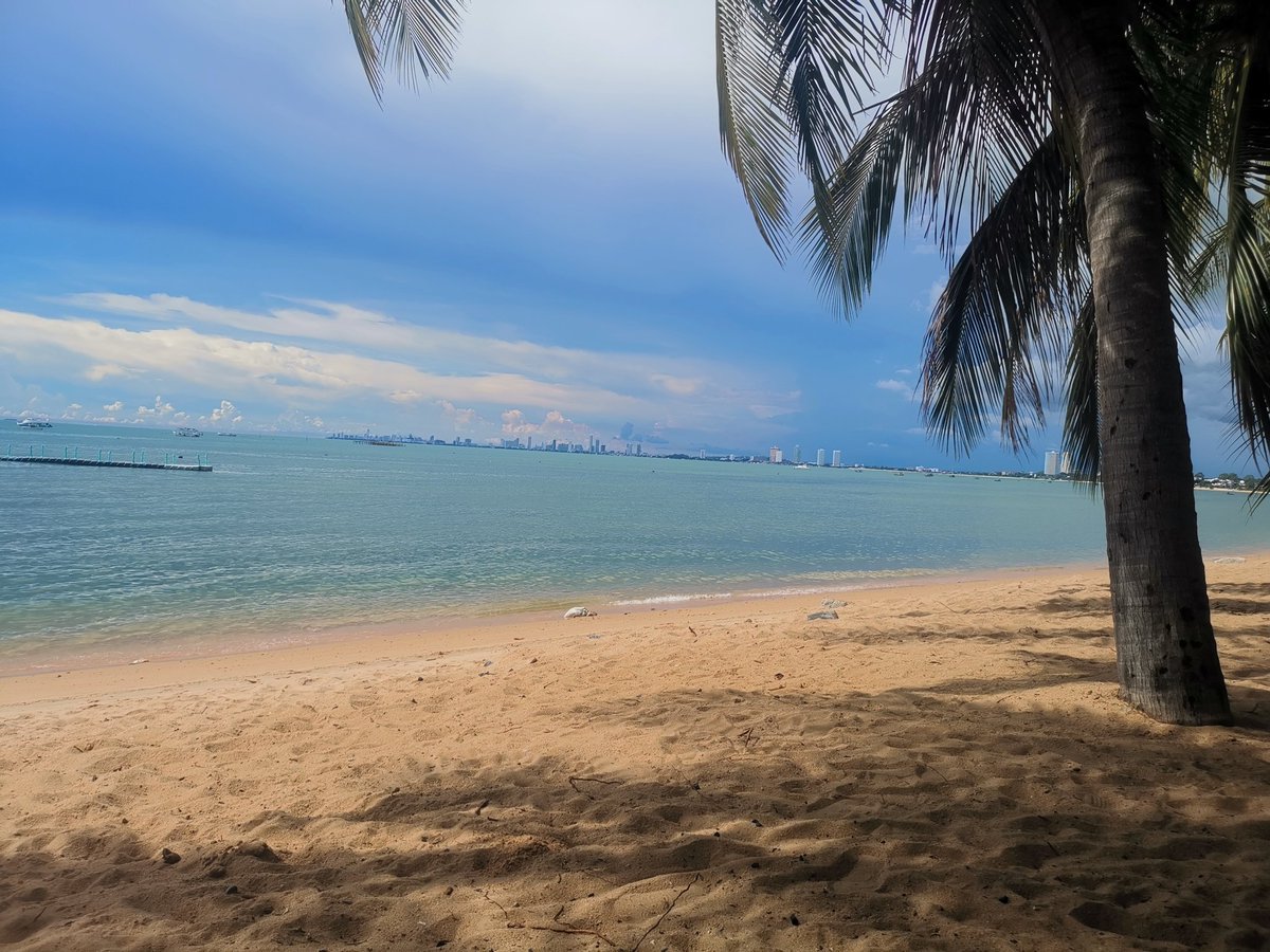 Creativ68948400's tweet photo. Life's a beach 🤣 https://t.co/l1PA19tVwd