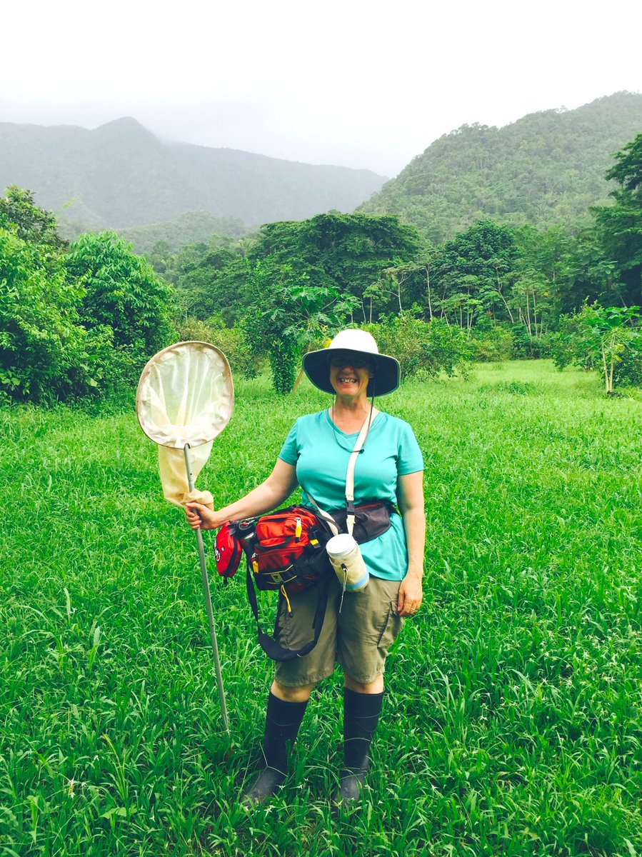 fran_keller's tweet image. Allow me, to raise that bar even higher w/ a #fannypack, #firstaidkit, #insectnet,#killjar in accessory bag... But let’s not forget the #pooter &amp;amp; essential #forceps on plastic dangly key chain holder cascading from my shirt. No #Jenner could wear this better. #EntoFashion bar 💃