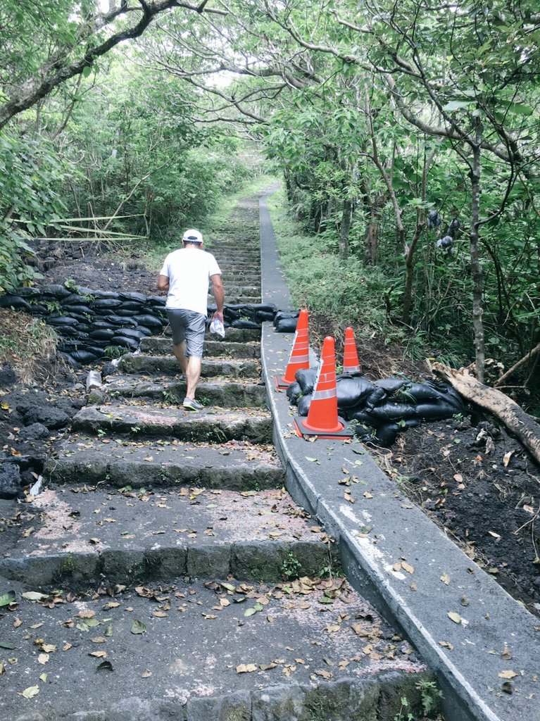 飛田東山 Trsene V Twitter